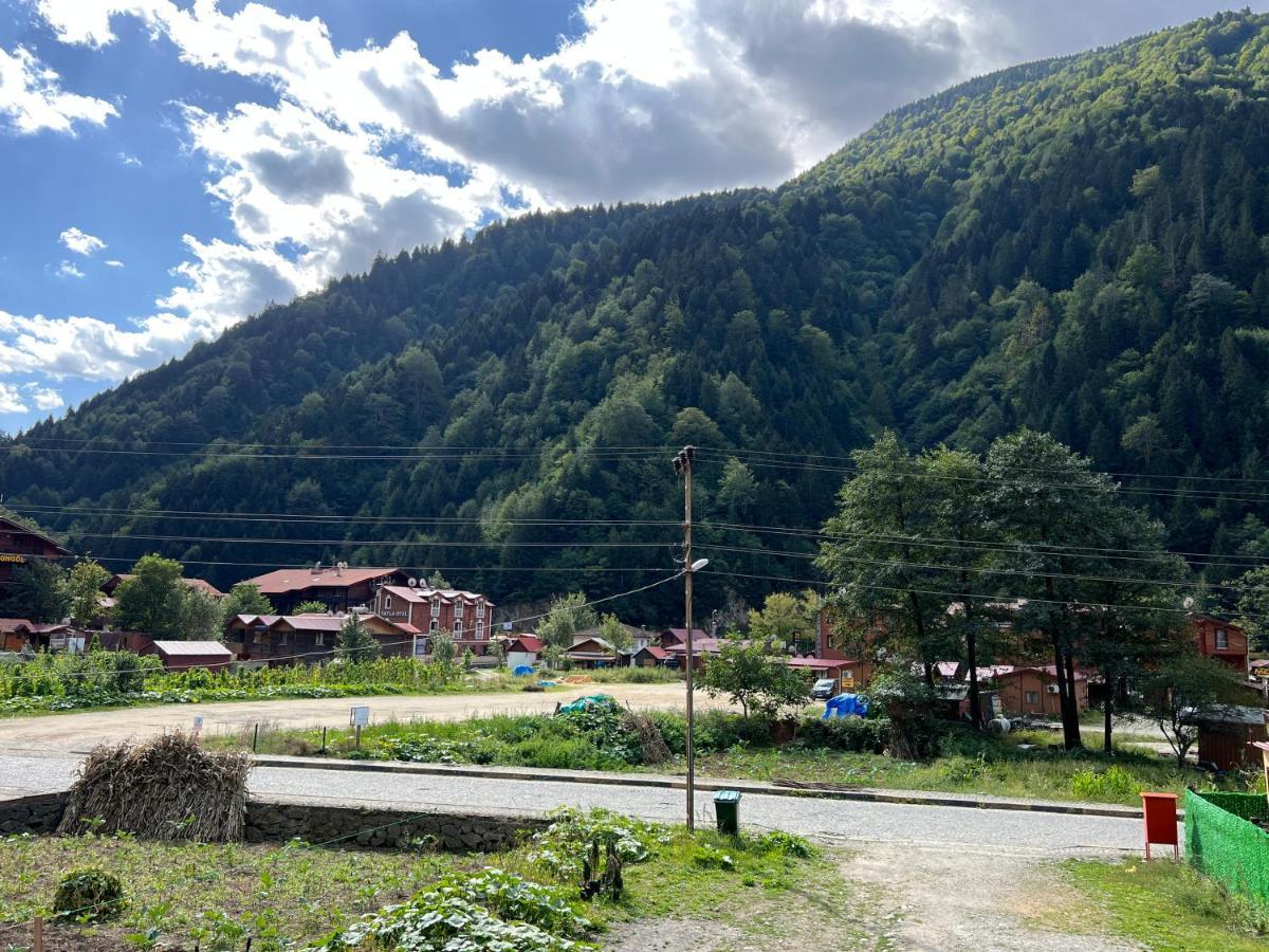 Karadeniz Apart Otel Uzungöl Dış mekan fotoğraf